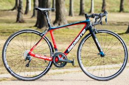 浅野センシウム300