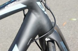 浅野スフィーンディスク