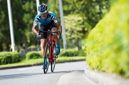 浅野ドマーネSL6