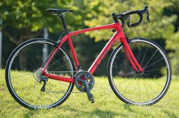 浅野ドマーネSL6