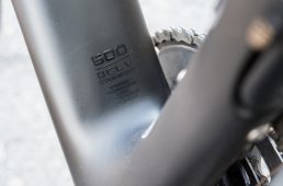 浅野ドマーネSLR