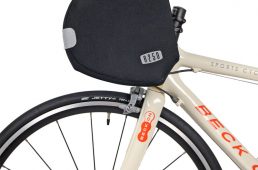 ワールドサイクル R250