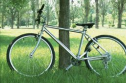 自転車活用推進研究会