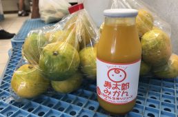 沼津クロスバイク体験サイクリング