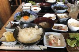 沼津クロスバイク体験サイクリング