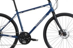 レイルディスク