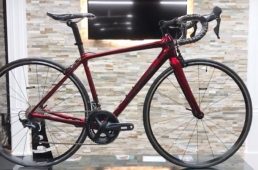 カネコイングス