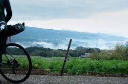 旧街道サイクリングの旅12