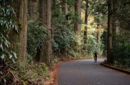 旧街道サイクリングの旅12