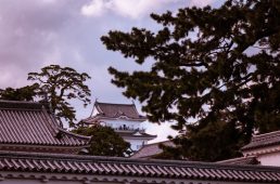 旧街道サイクリングの旅12