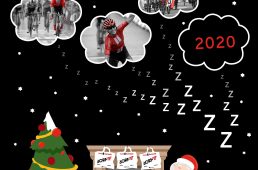 チームサンウェブ