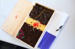 BBBASEくじら弁当