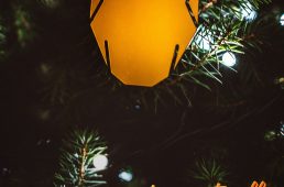 ドゥクーニンク・クイックステップ