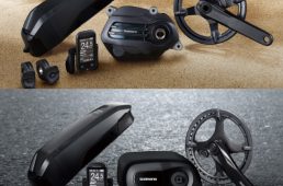 日本におけるEバイク元年。低価格なモデルが充実