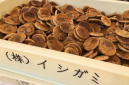 銚子イイ！グルメライド