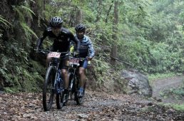 ピクノレーサー