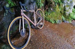 2020年10大ニュース・プロダクト編