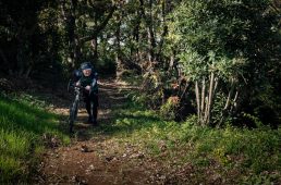 旧街道サイクリングの旅最終回