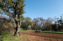 旧街道サイクリングの旅最終回