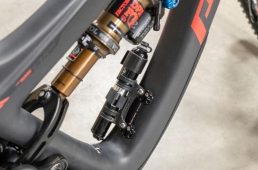 ウルフトゥース