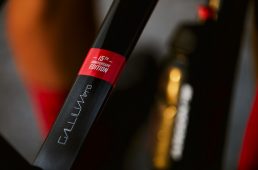 ガリウムプロディスク15周年