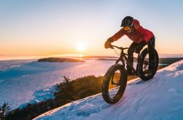 ジャイアント・YUKON 2