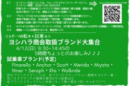 トライザヴェロ2020