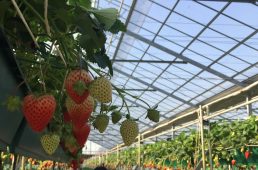 リンケージサイクリング