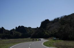 ラファキャラバン