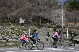 ラファキャラバン