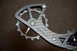 カーボンドライジャパン