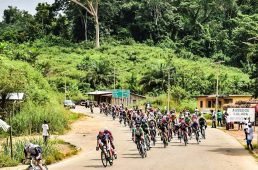 別府史之が見た世界02