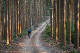 グラベルエクスペリエンスジャパン