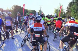 フェローサイクル