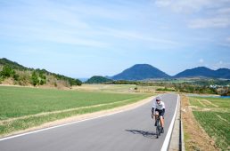 らっきょう畑の絶景