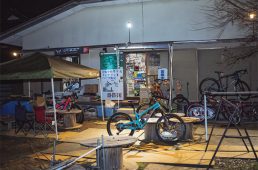 厳選ケミカル フックスシルコリン