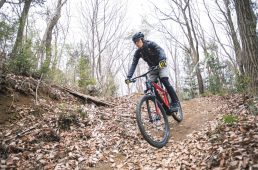 厳選メンテナンス ボッシュ