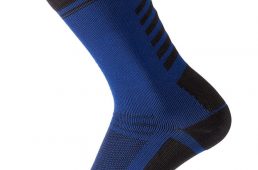 シャワーズパス