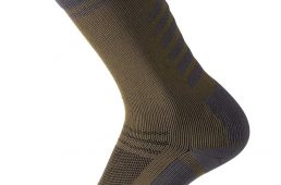 シャワーズパス