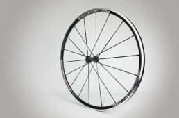 スピナジーZライト