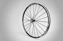 スピナジーZライト