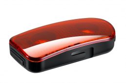 ジャイアント・レーコン