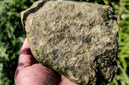 別府史之が見た世界03