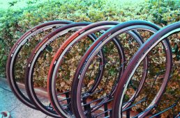 フォーミュラプロ第5世代