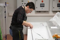 マヴィックの真実後編