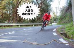 緊急回避の流れの一例 その1