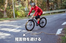 緊急回避の流れの一例 その3