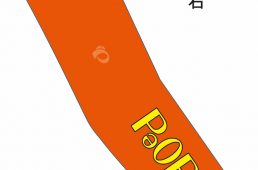 パールイズミ・パオパオ シリーズ