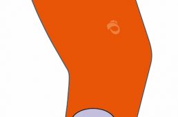 パールイズミ・パオパオ シリーズ