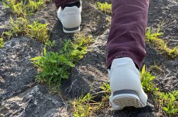 ジロ・ランブル VR